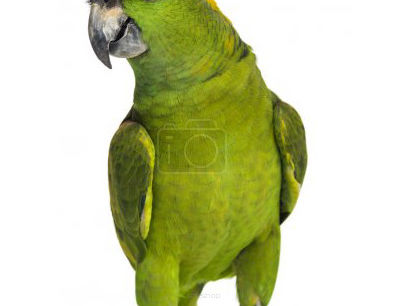 Oznakowanie przestrzeni