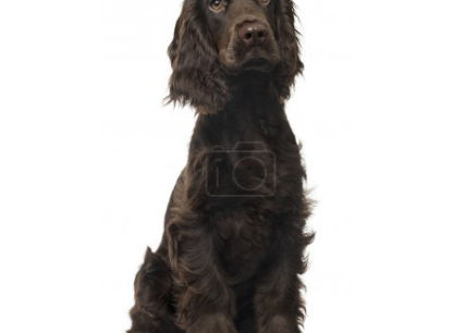 Rozdzielacze biblioteczne